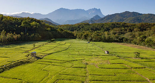 True Adventure Calls