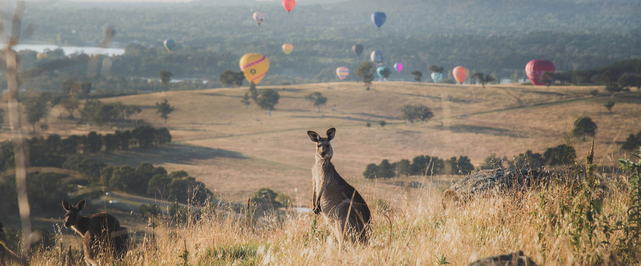 Canberra