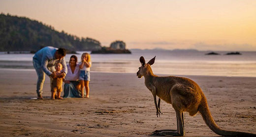 Nature and Wildlife