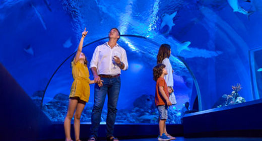 Cairns Aquarium