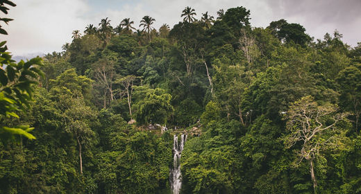 Cascadas de Sekumpul