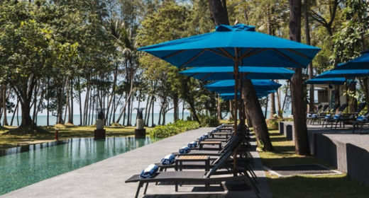 This is the image description.