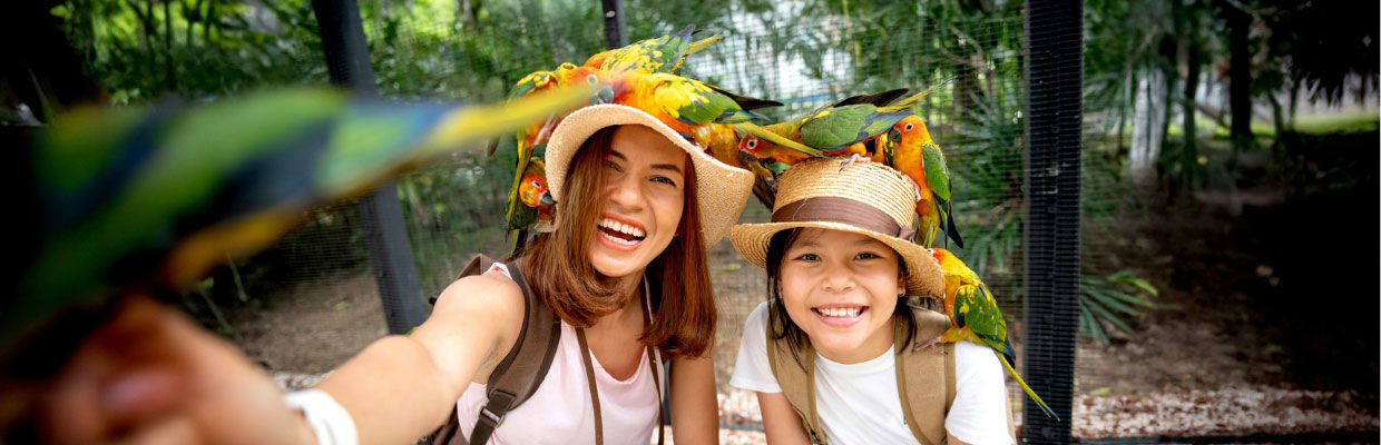 Pelago by Singapore Airlines