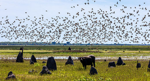 Parc National Kakadu