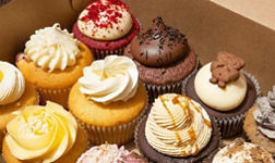 Little Cupcakes