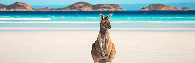 Perth-Lucky bay