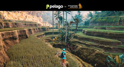 Pelago