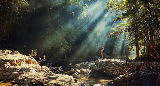 Sonnenstrahlen im Regenwald