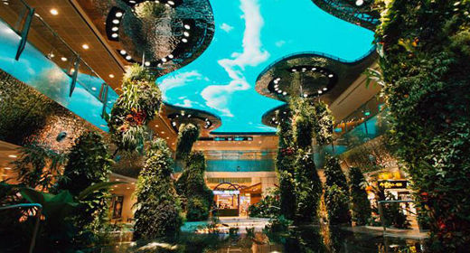 Dreamscape