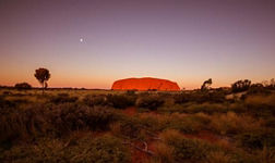 Vols pour l'Australie