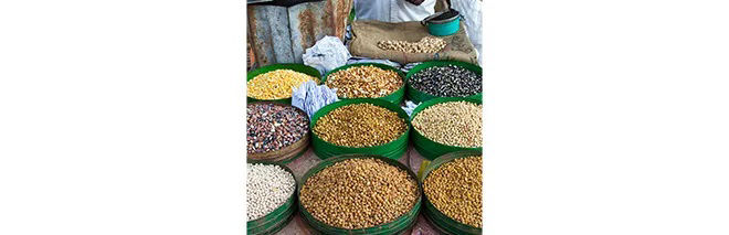 Dhaka-New Market