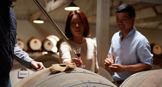 Singapore Airlines Local Promotions - Fly Singapore to Adelaide