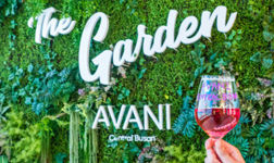 avani-fb360x270