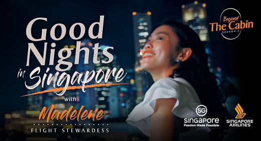 新航空服員帶路系列 - 新加坡