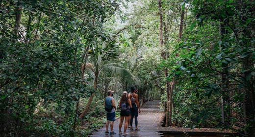 Gardens forest family