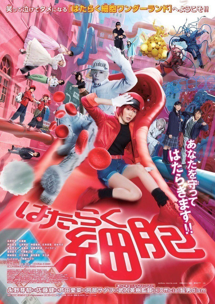 Cells at Work!