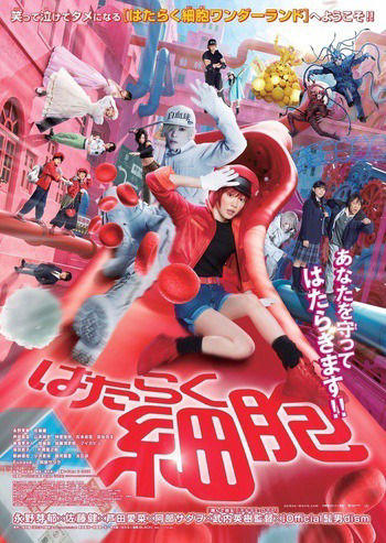 Cells at Work!