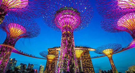 Gardens by the bay supertrees