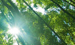 Sustainability