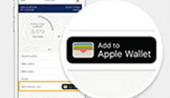 iPhone 用户