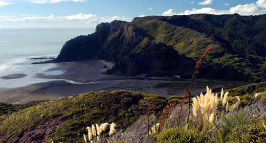 Auckland Karekare