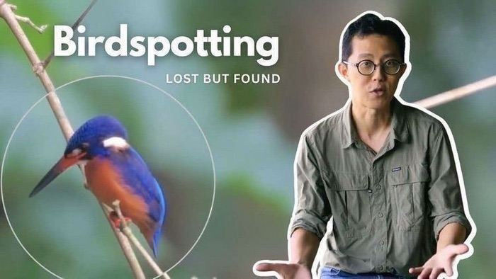 Lost But Found