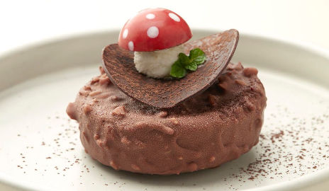 mira-privilege-image-web