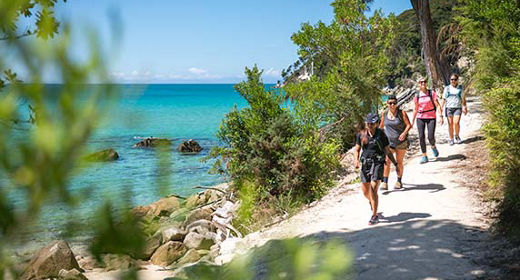 Eine Gruppe wandert im Abel Tasman Nationalpark entlang türkisenem Wasser zwischen Bäumen