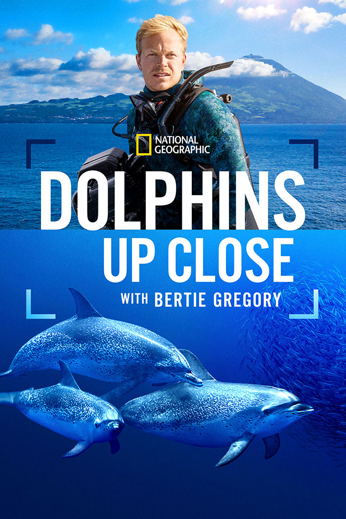 Dolphins Up Close with Bertie Gregory