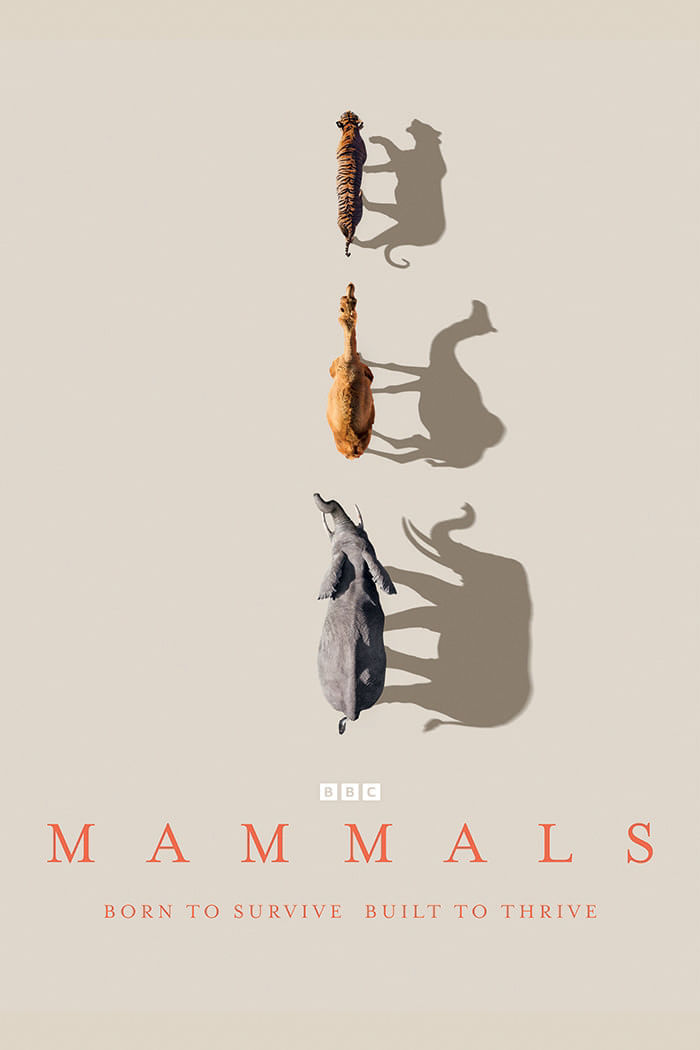 Mammals