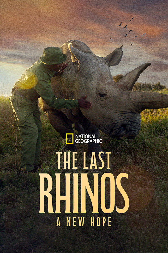 The Last Rhinos: A New Hope