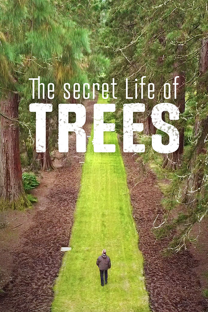 The Secret Life of Trees