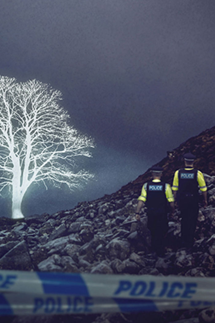 The Sycamore Gap Mystery