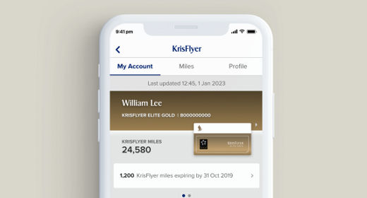 rectangle-copy-check-in-online-generate-mobile-boarding-pass.png