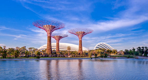 Supertrees Gardens by the bay