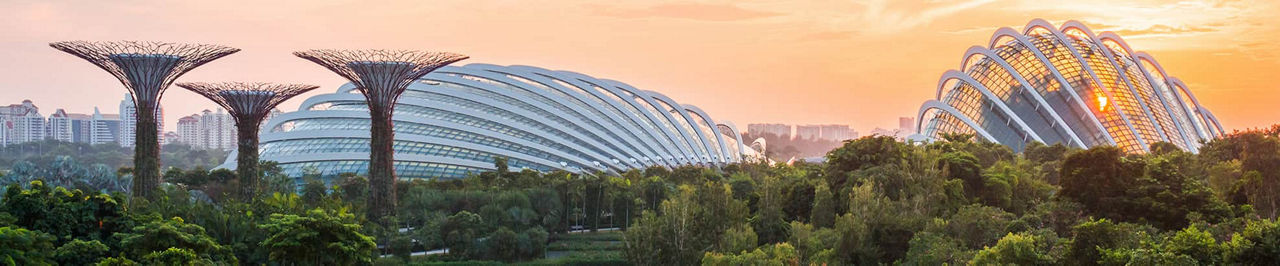 Discover Flights to Singapore