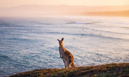 Australie
