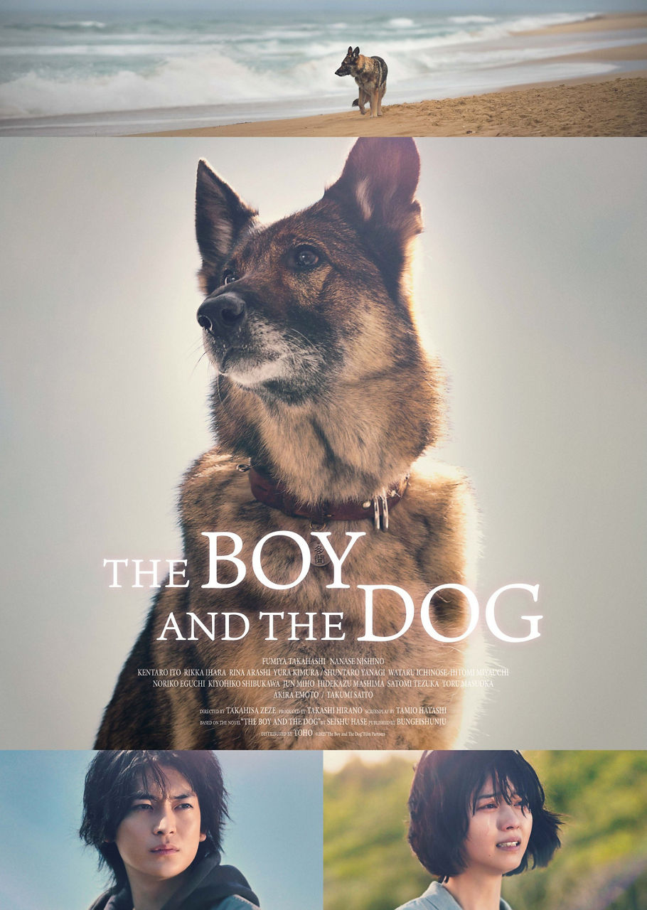 The Boy and the Dog