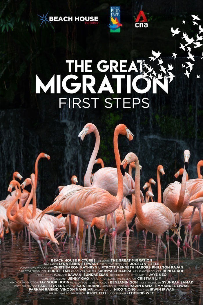 The Great Migration