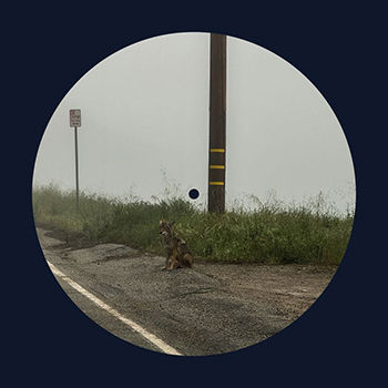 14 minutes (Explicit)