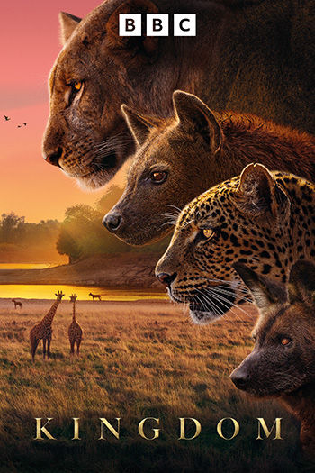 Kingdom