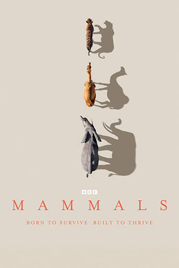 Mammals