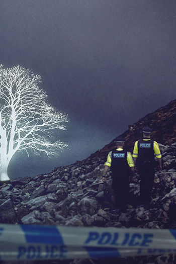 The Sycamore Gap Mystery